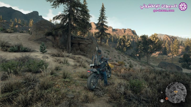 Days Gone 2