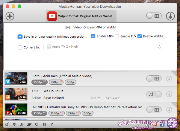 Youtube downloader3