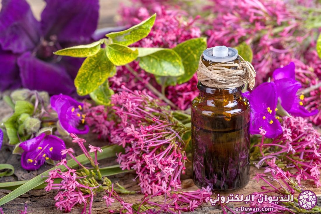 Clary sage oil