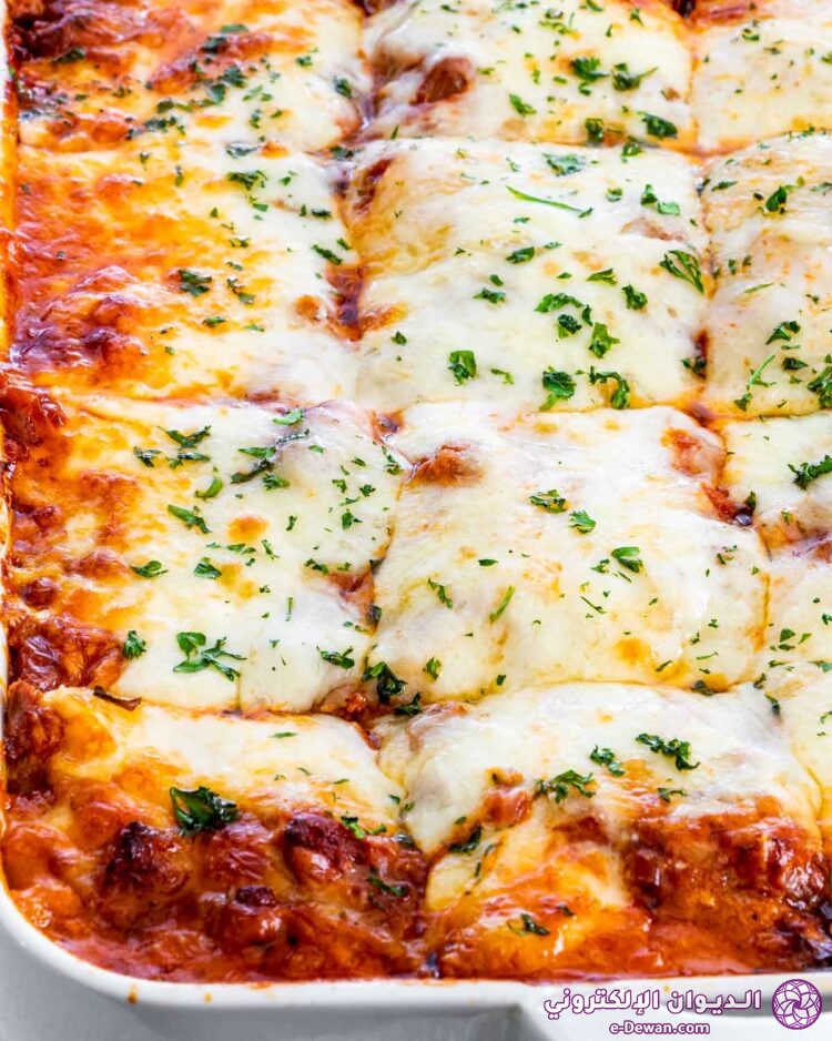 The best lasagna 1 18 750x938