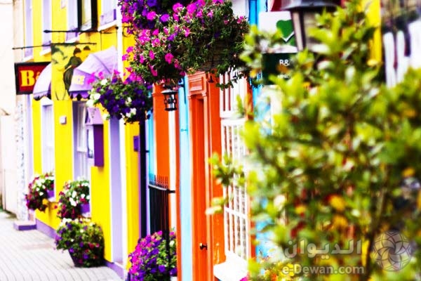 Kinsale17