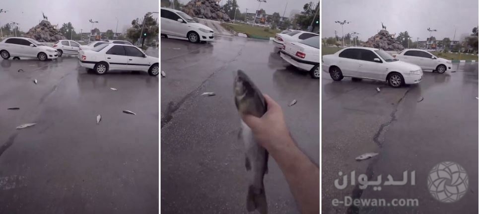 Registran lluvia de peces en Yasuj Iran