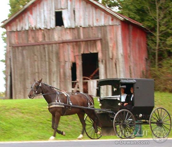 560px DSCN4624 holmescountyamishbuggy e